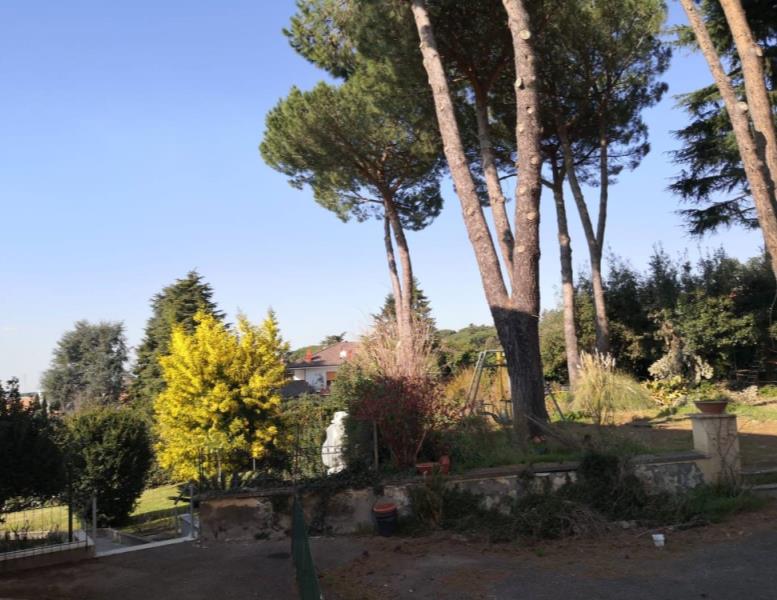 immagine annuncio 4 di 11