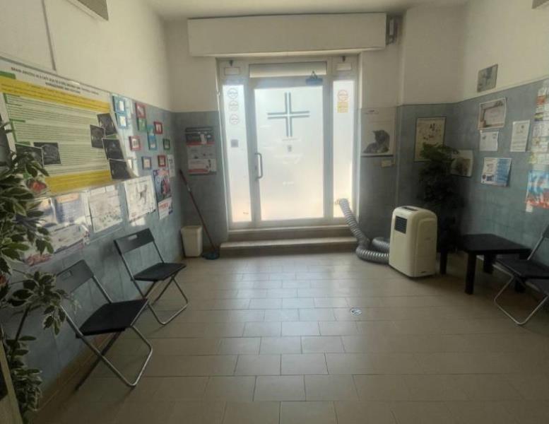 immagine annuncio 3 di 7