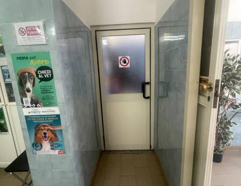 immagine annuncio 2 di 7