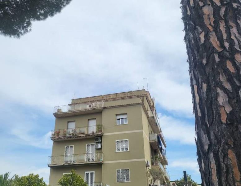 immagine annuncio 12 di 14