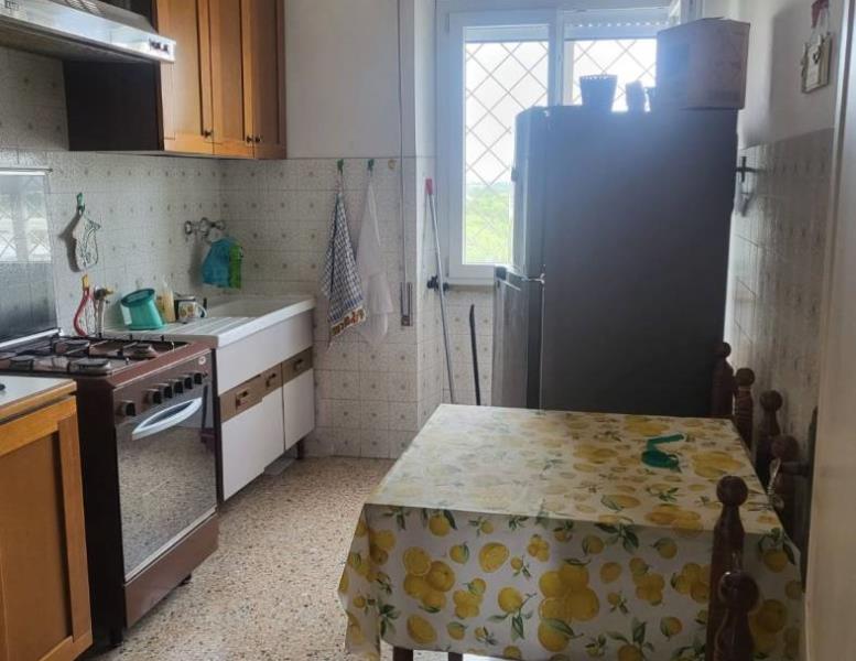 immagine annuncio 10 di 14