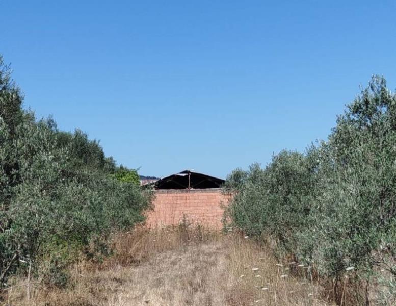 immagine annuncio 13 di 15