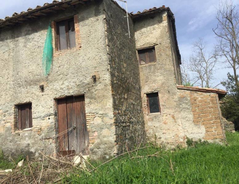 immagine annuncio 2 di 6