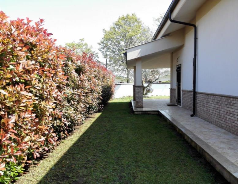 immagine annuncio 2 di 9