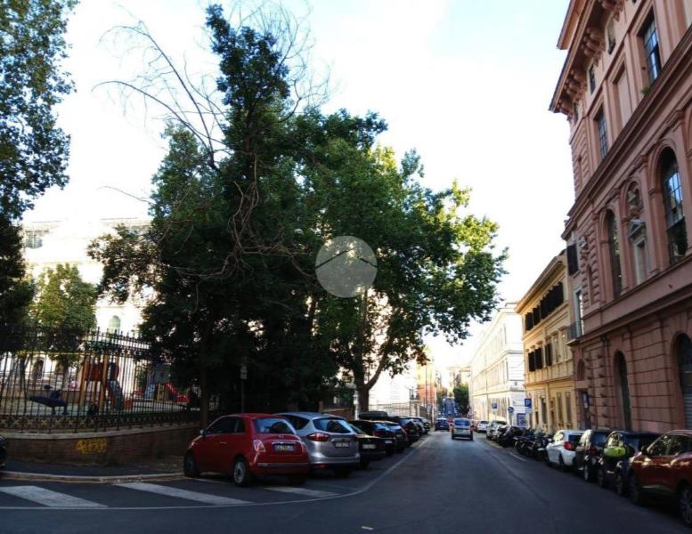 immagine annuncio 1 di 6