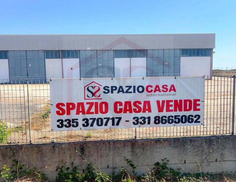 immagine annuncio 6 di 11