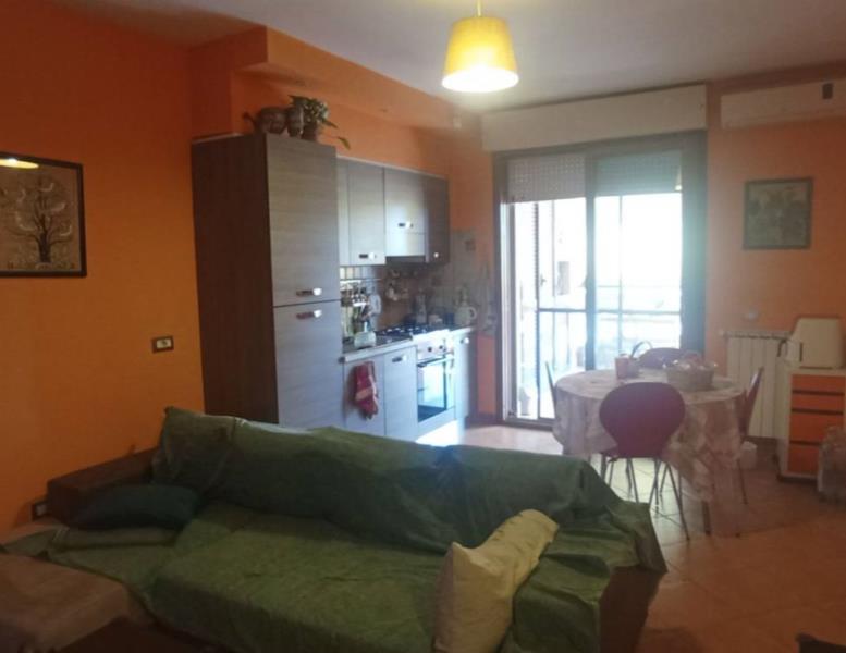 immagine annuncio 1 di 8