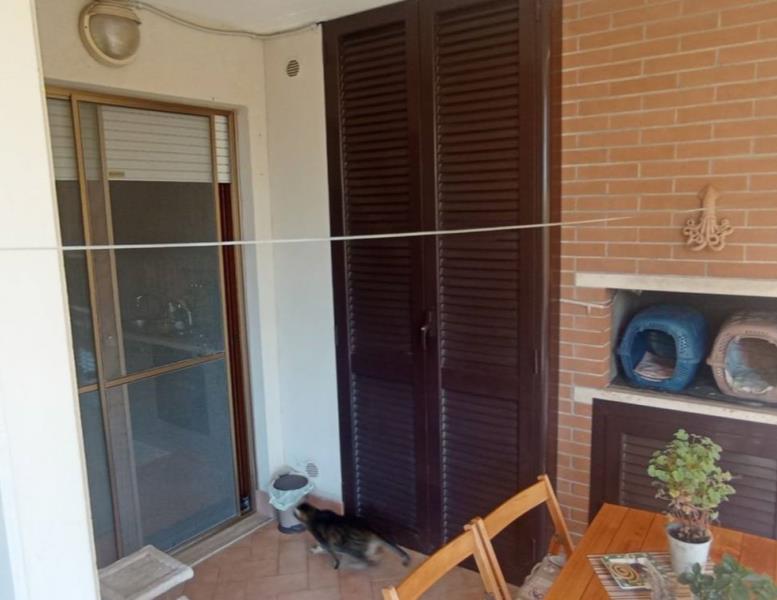 immagine annuncio 6 di 8