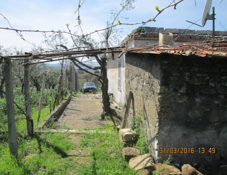 immagine annuncio 6 di 13