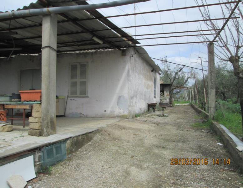 immagine annuncio 1 di 13