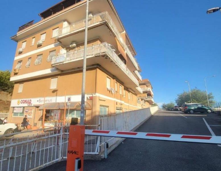 immagine annuncio 3 di 12