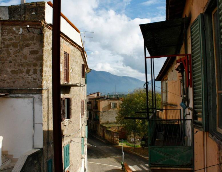 immagine annuncio 11 di 14