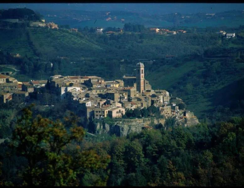 immagine annuncio 10 di 12