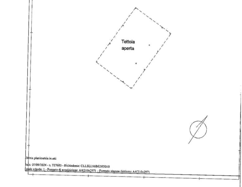 immagine annuncio 5 di 7