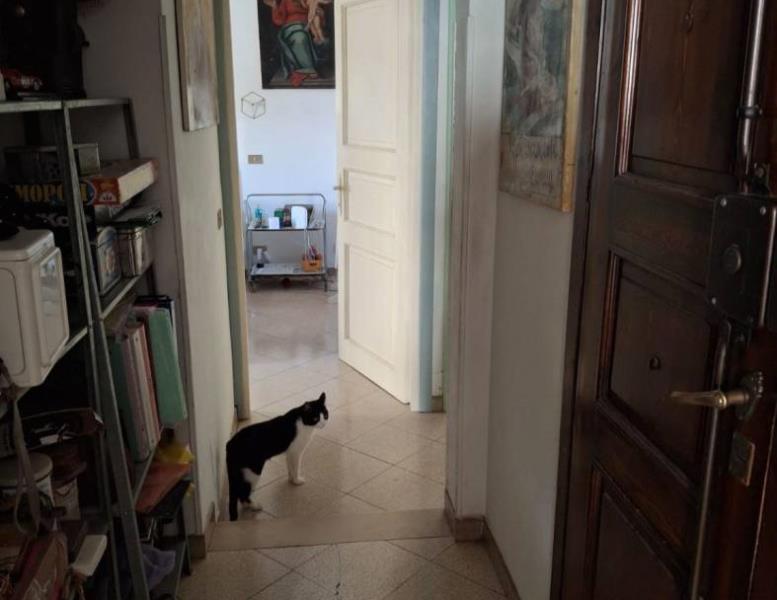 immagine annuncio 6 di 11