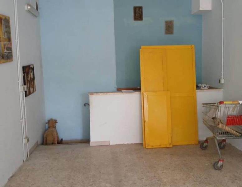 immagine annuncio 5 di 13