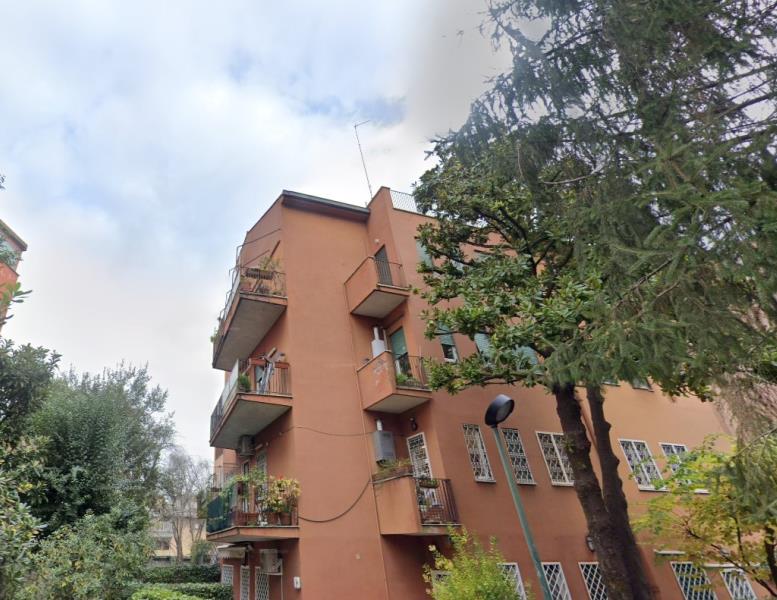immagine annuncio 5 di 12