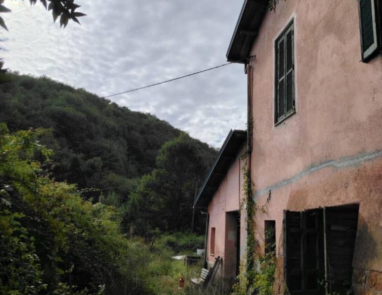 immagine annuncio 4 di 9