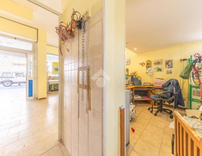 immagine annuncio 4 di 14