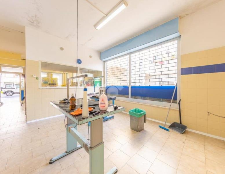 immagine annuncio 8 di 14