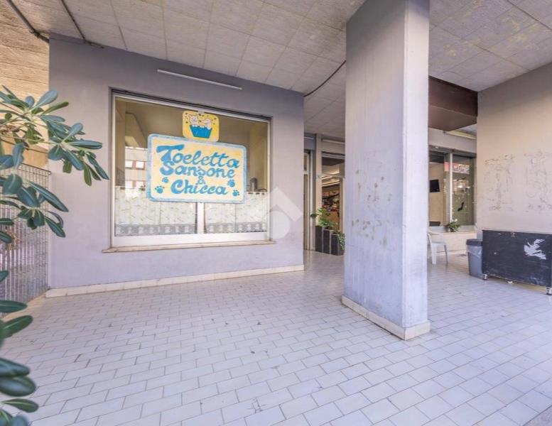 immagine annuncio 12 di 14