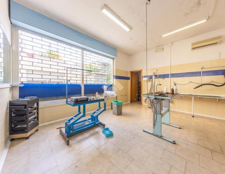 immagine annuncio 7 di 14