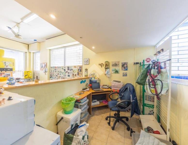 immagine annuncio 5 di 14