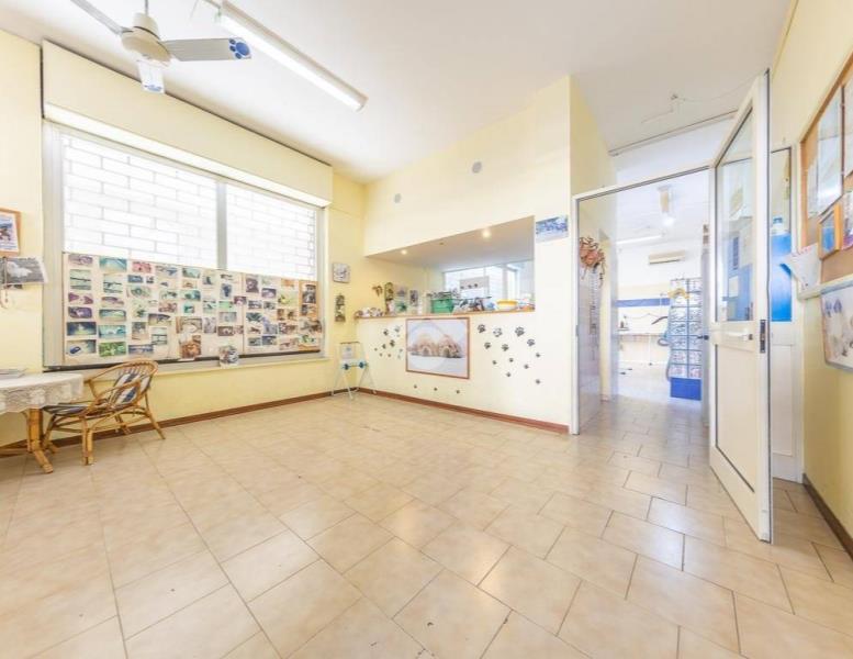 immagine annuncio 3 di 14