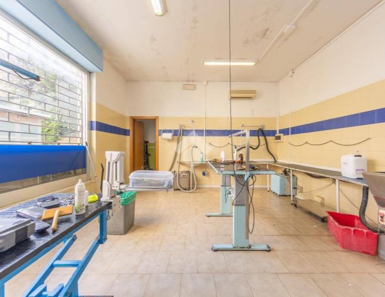 immagine annuncio 6 di 14