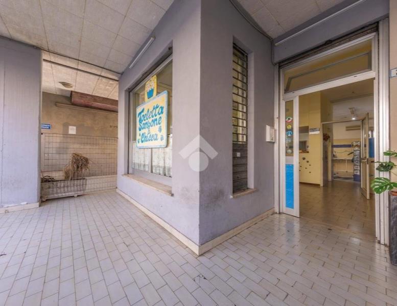 immagine annuncio 11 di 14