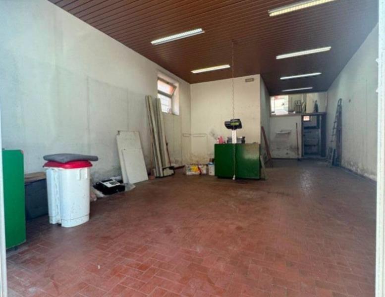 immagine annuncio 3 di 12