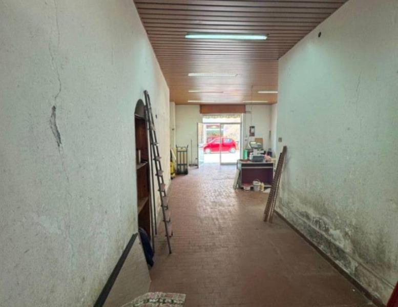 immagine annuncio 8 di 12