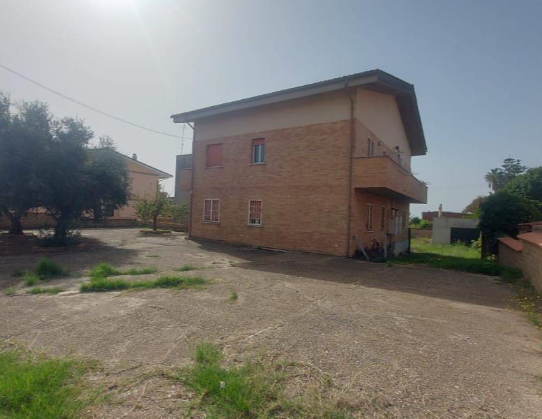 immagine annuncio 3 di 14