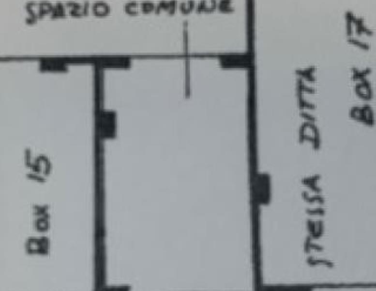 immagine annuncio 2 di 3