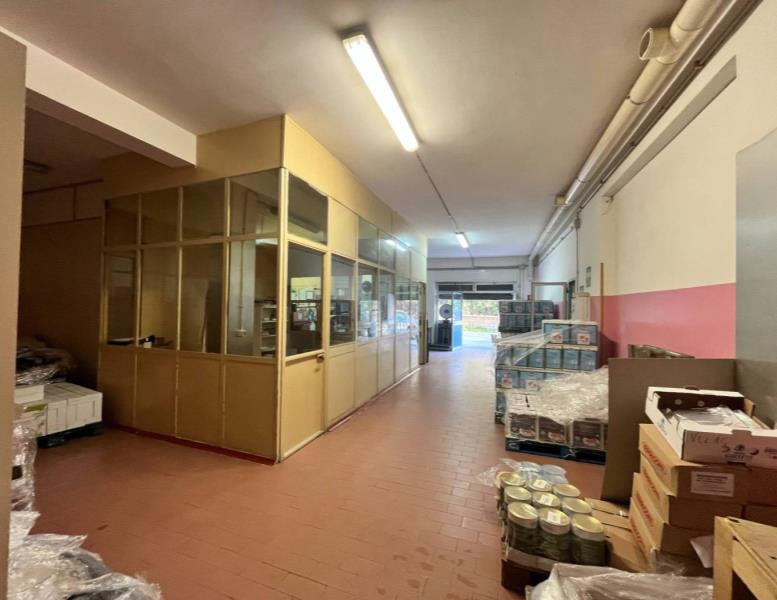 immagine annuncio 3 di 9