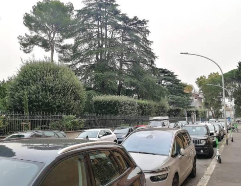 immagine annuncio 5 di 6