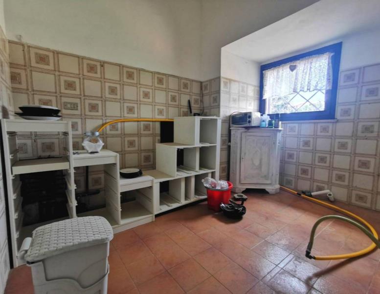 immagine annuncio 6 di 14