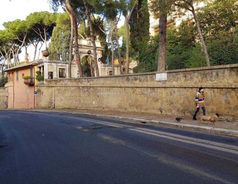 immagine annuncio 1 di 2