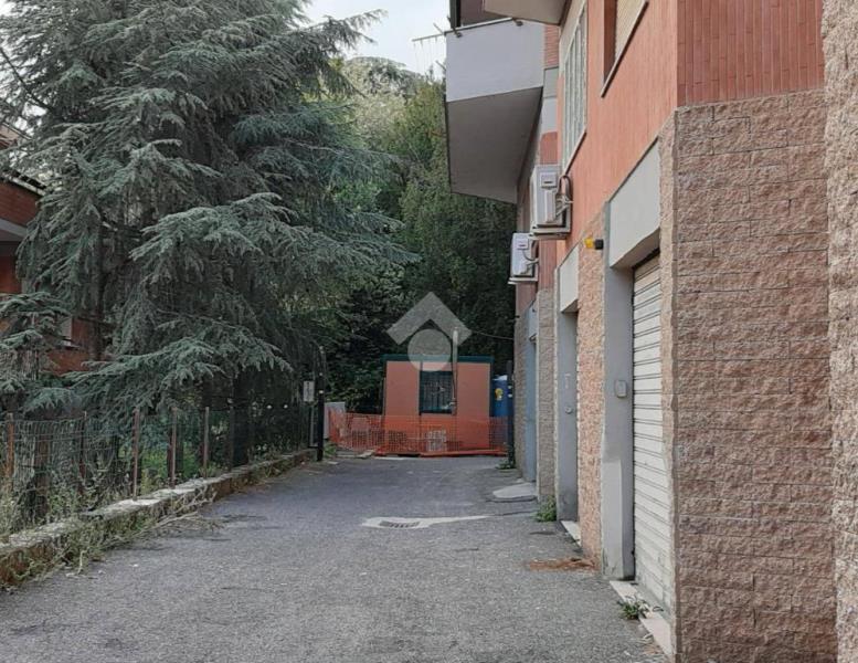 immagine annuncio 5 di 6