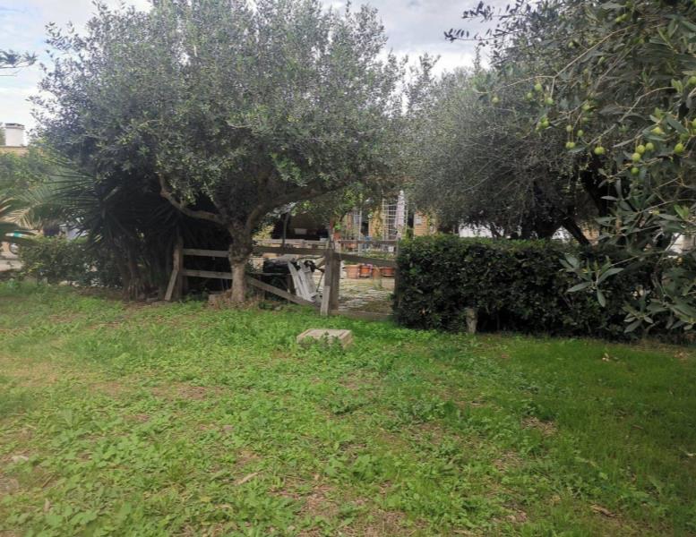 immagine annuncio 7 di 11