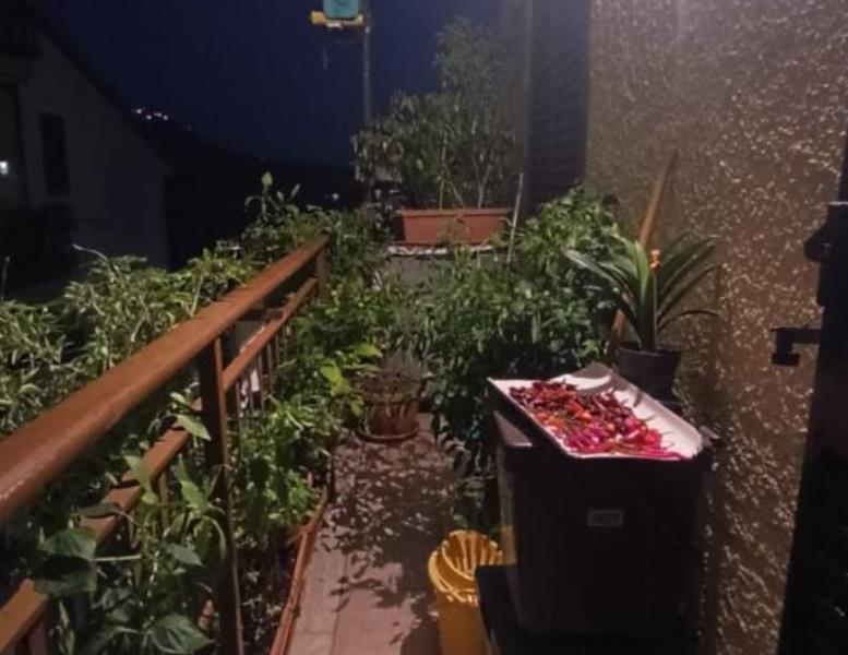 immagine annuncio 8 di 15