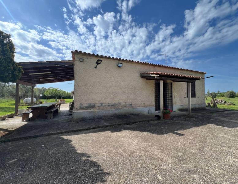 immagine annuncio 3 di 13