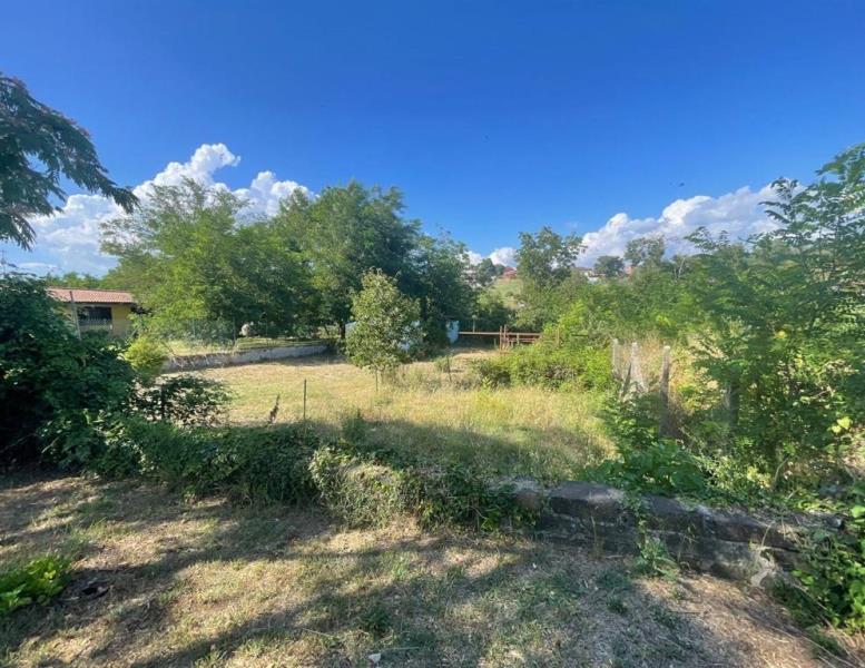 immagine annuncio 6 di 13