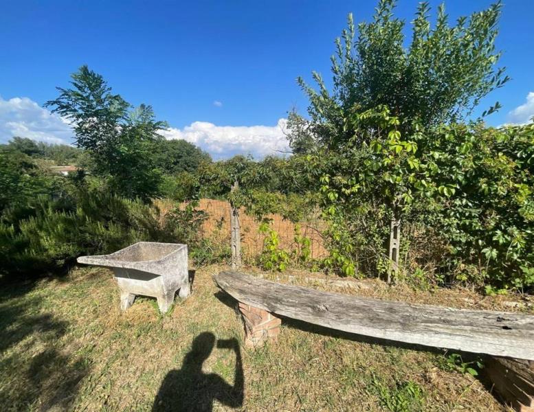 immagine annuncio 8 di 13