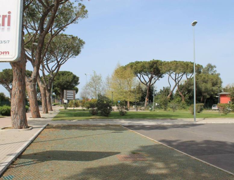 immagine annuncio 11 di 14
