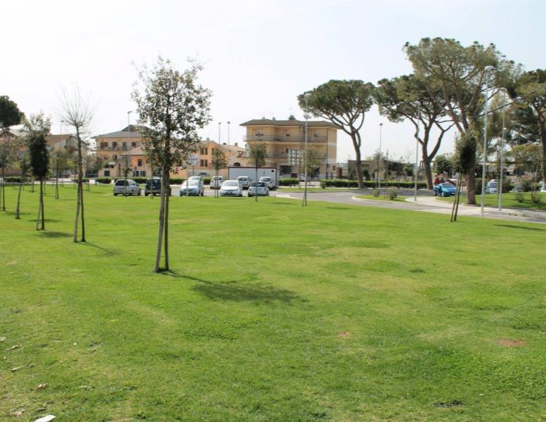 immagine annuncio 12 di 14