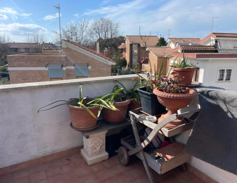 immagine annuncio 13 di 14