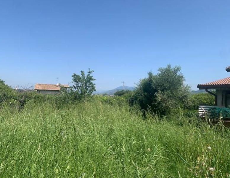 immagine annuncio 2 di 9