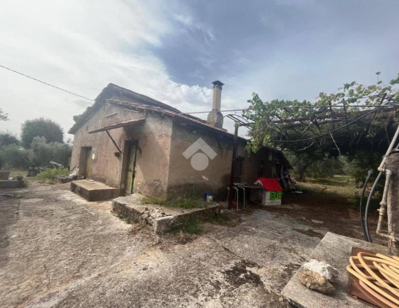 immagine annuncio 1 di 7