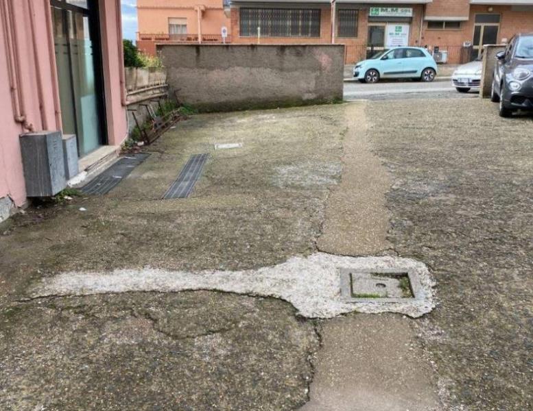 immagine annuncio 1 di 12